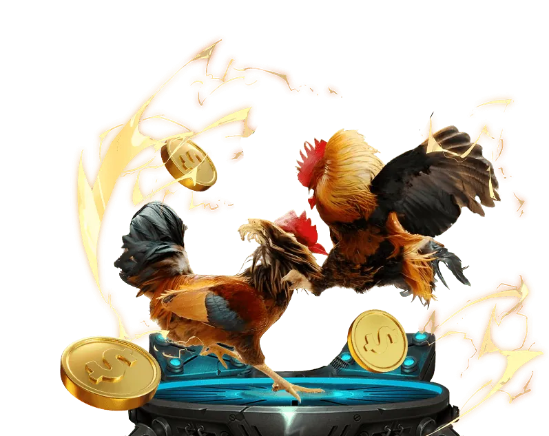 Hình ảnh minh họa cam kết của chúng tôi